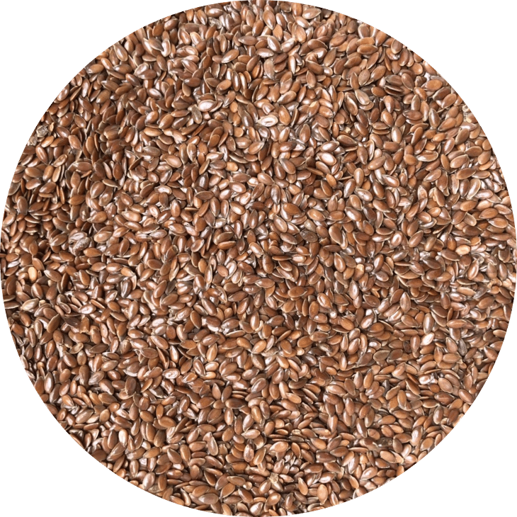 Hạt lanh Flax seeds