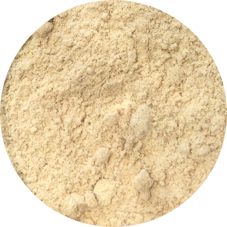 Bột hành tây Onion Powder