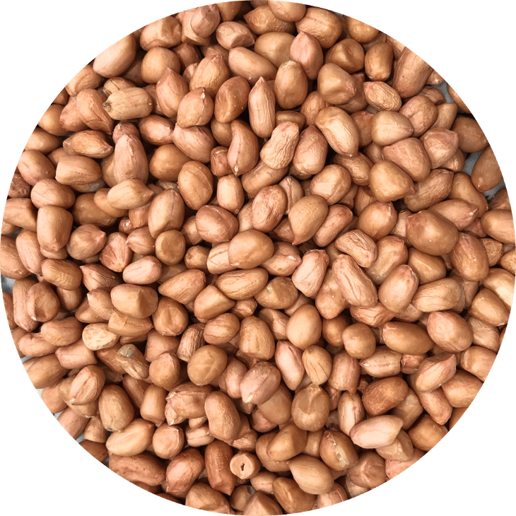 RawOrganic Peanut-đậu phộng