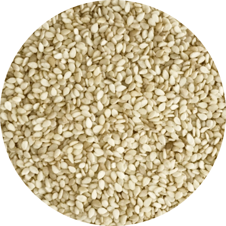 Organic White sesame - Mè trắng