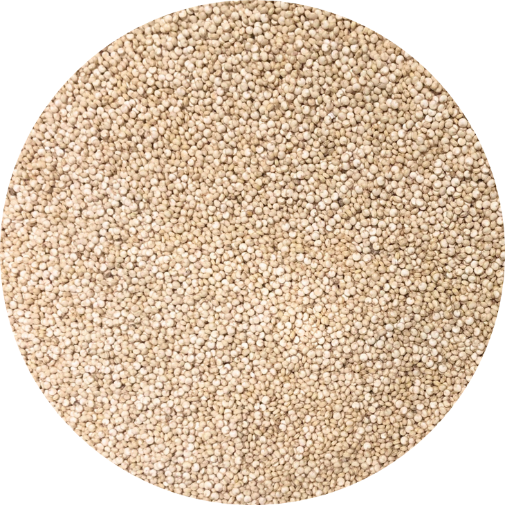 Hạt diêm mạch hữu cơ Organic white quinoa