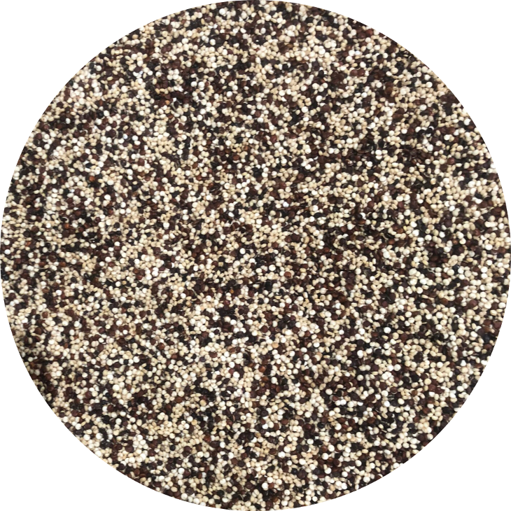 Hạt diêm mạch 3 màu Organic Mix quinoa