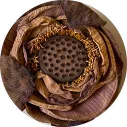 [POST140] Lotus Bloom Tea - Trà Hoa Sen